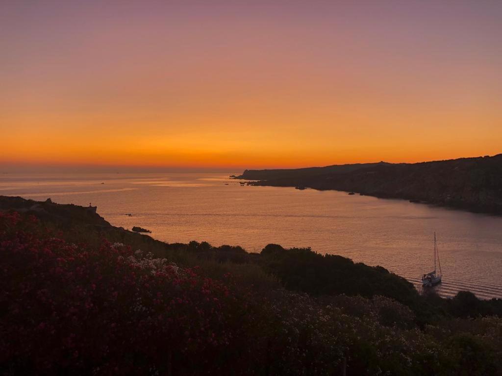 B&B Jolie Santa Teresa Gallura Exterior photo